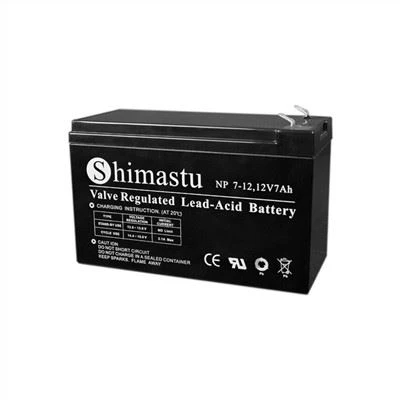Batterie 12V7Ah pour système d'alarme