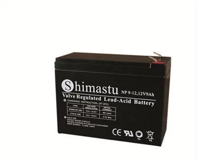 Batterie rechargeable 12V 9Ah