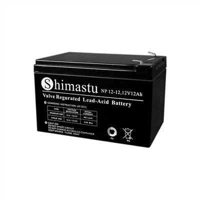 Batterie de secours 12 volts