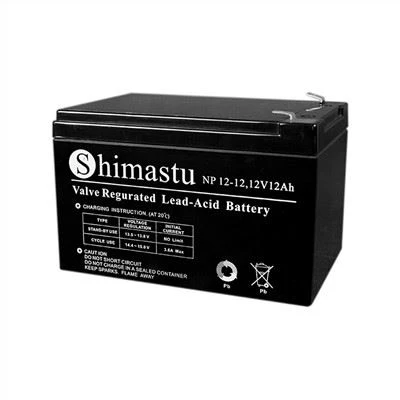 Batterie plomb-acide scellée 12V12Ah